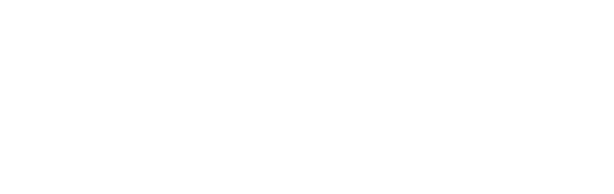 技术研发期