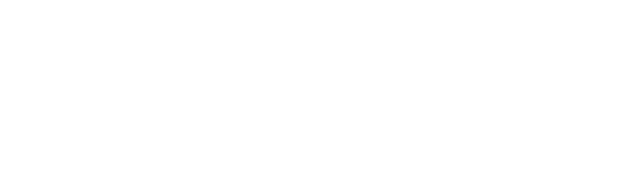 技术应用期