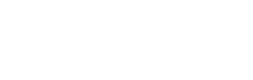 产业拓展期